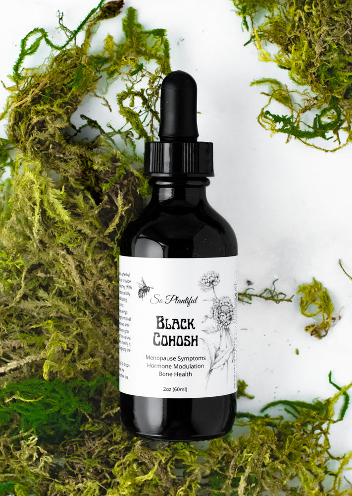 Black Cohosh Menopause