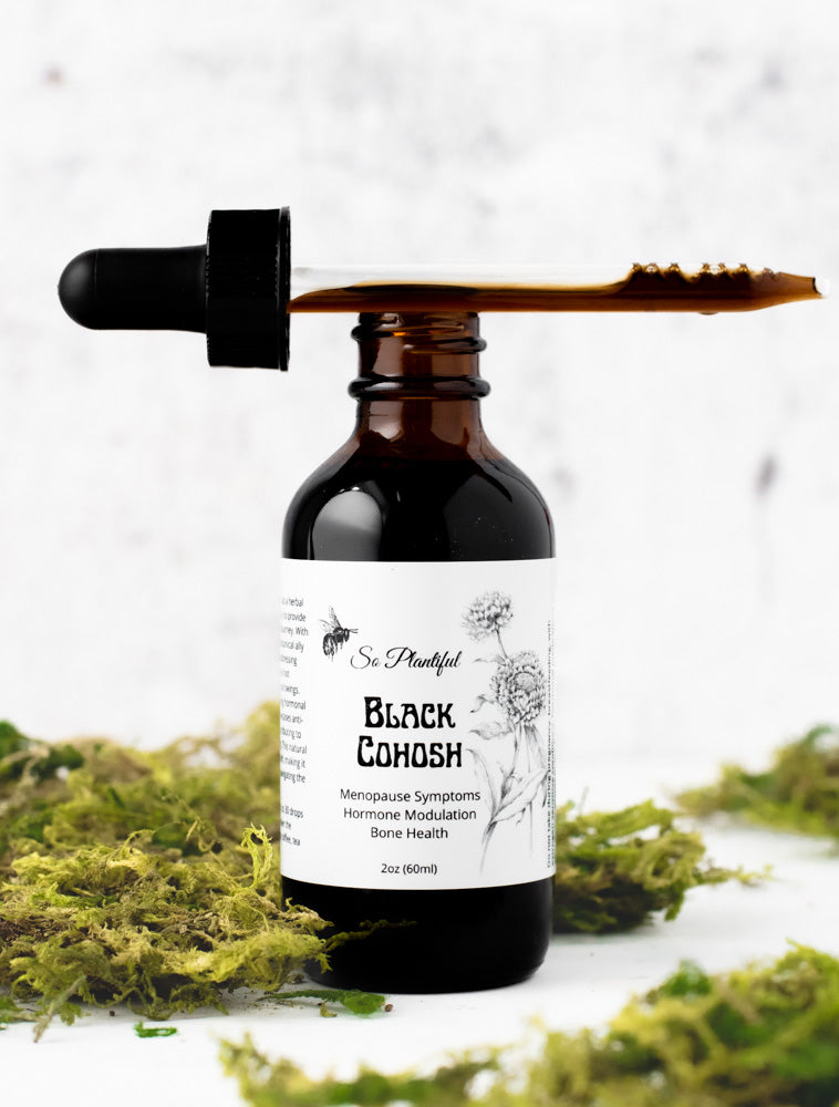 Black Cohosh Menopause