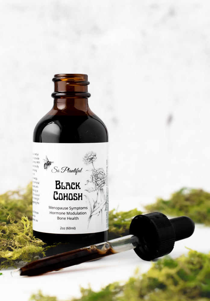 Black Cohosh Menopause