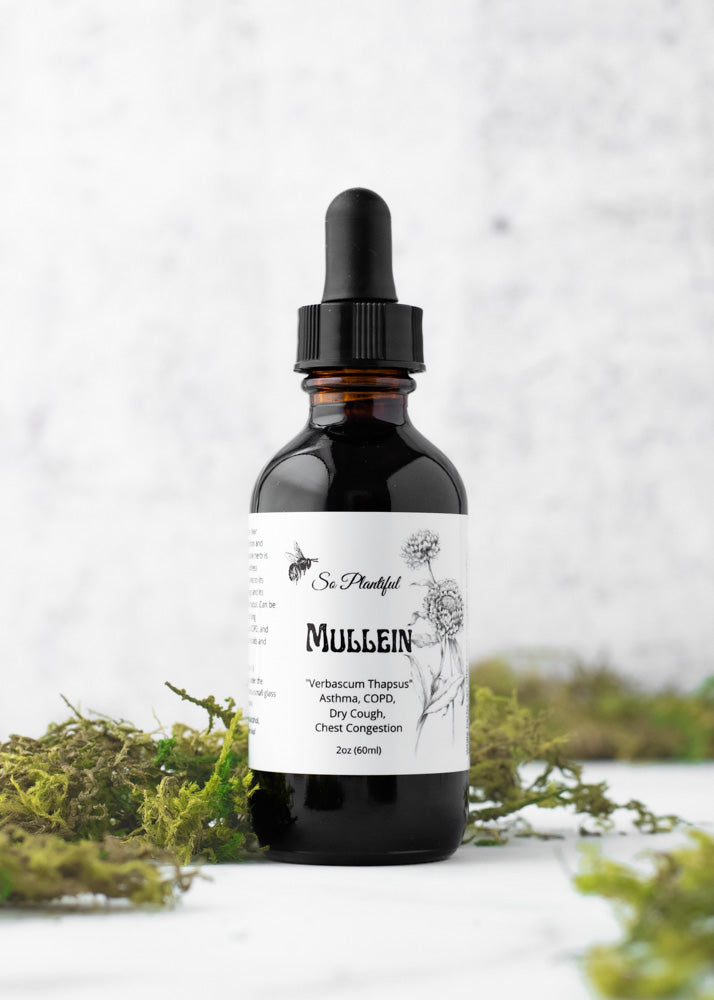 Mullein Leaf Tincture