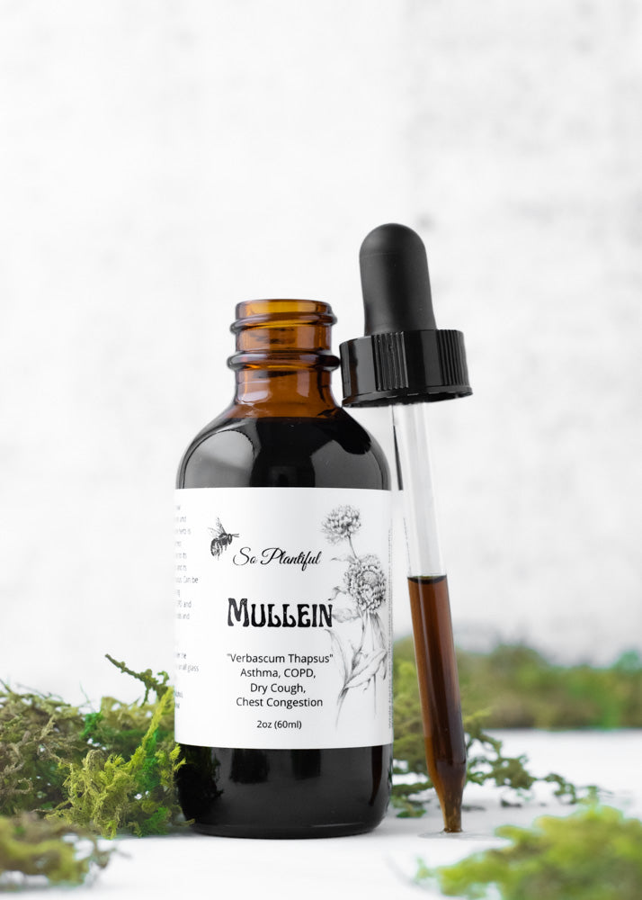 Mullein Leaf Tincture