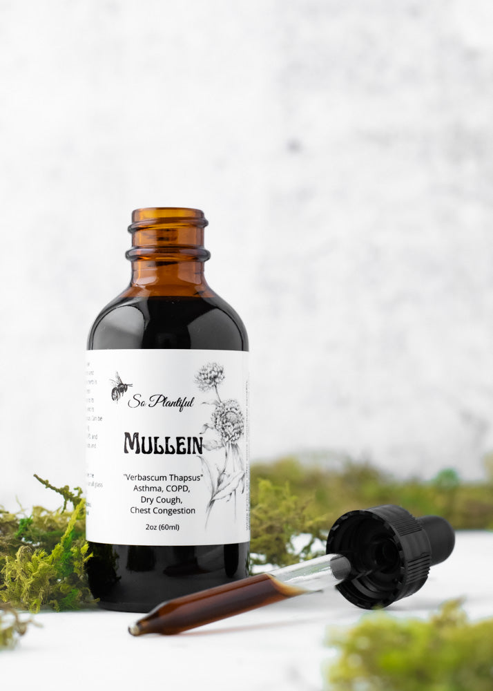 Mullein Leaf Tincture