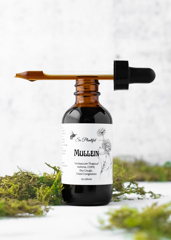 Mullein Leaf Tincture