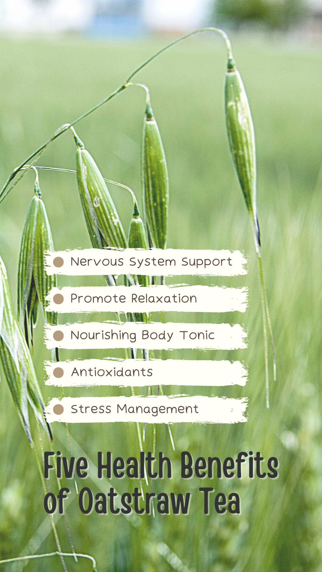 Oatstraw Herbal Tea