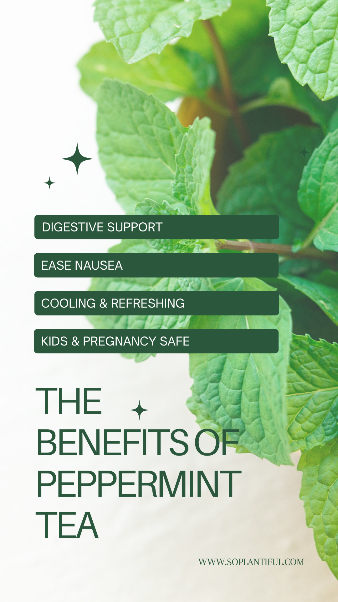 Peppermint Herb Tea