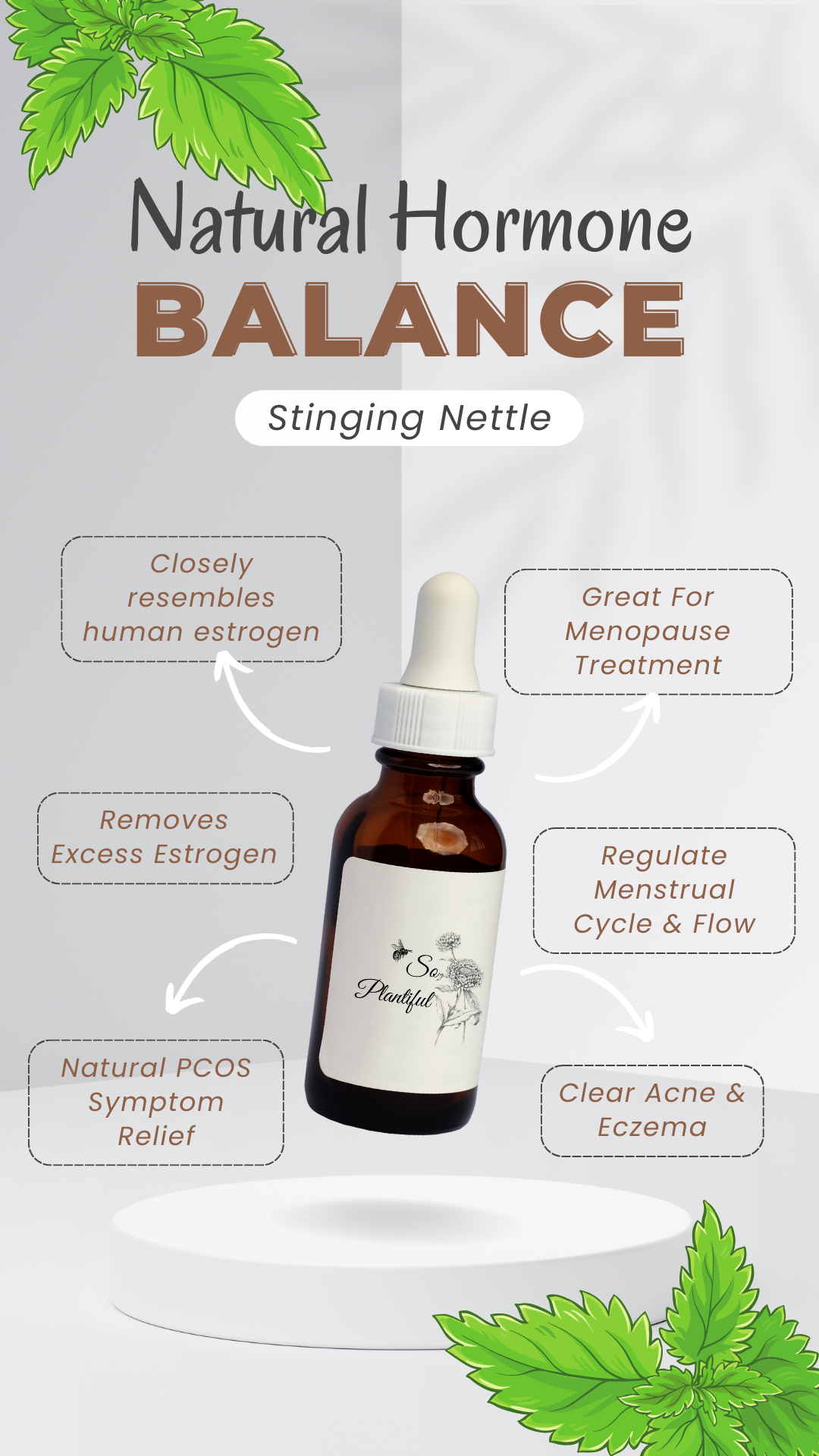 Stinging Nettle - Detox, Hormone Balance, Menstrual Cycle, Skin Health, Nutritive Tonic