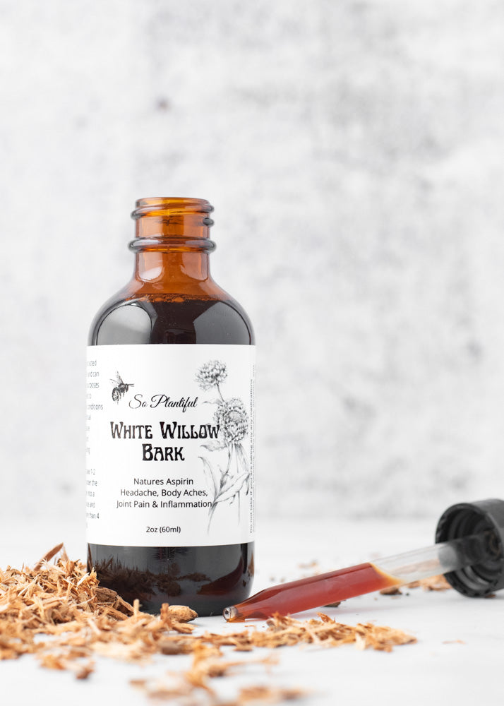 White Willow Bark - Natures Aspirin, Headache, Body Aches, Joint Pain & Inflammation, fever