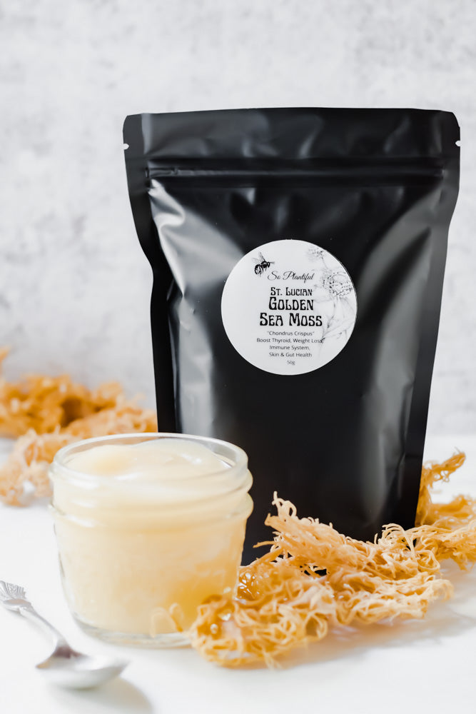 St. Lucian Golden Sea Moss - Boost Thyroid & Immune System, Weight Loss, Skin & Gut Health