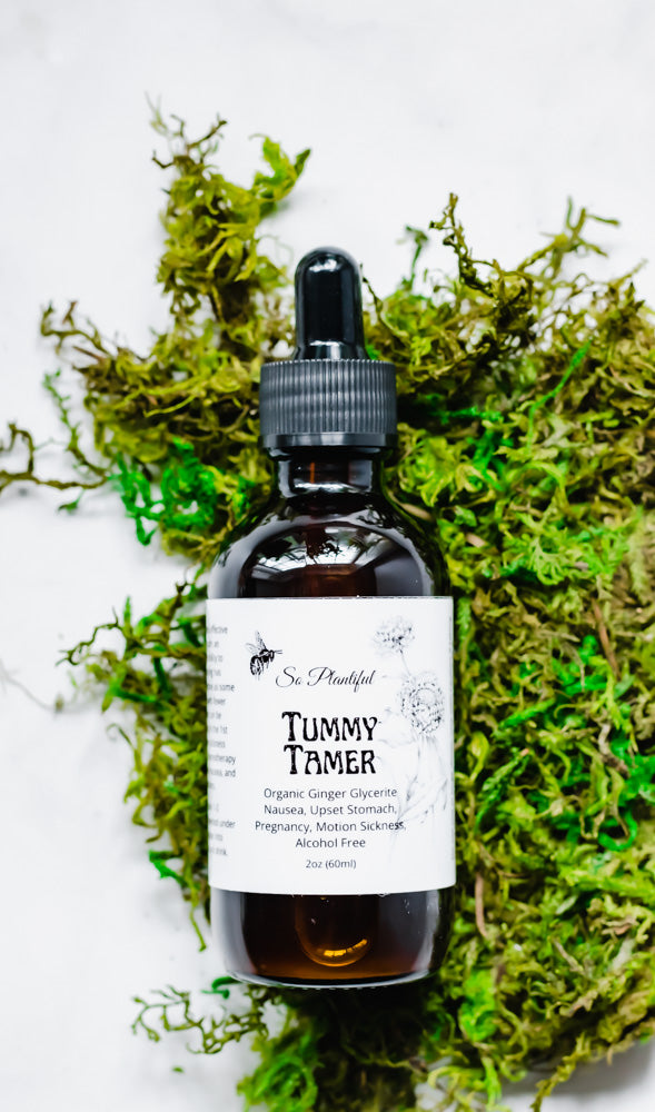 Tummy Tamer - Organic Ginger Glycerite Nausea, Upset Stomach, Pregnancy, Motion Sickness, Alcohol Free