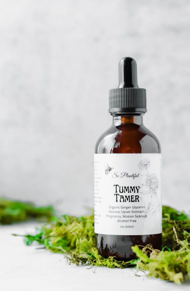 Tummy Tamer - Organic Ginger Glycerite Nausea, Upset Stomach, Pregnancy, Motion Sickness, Alcohol Free