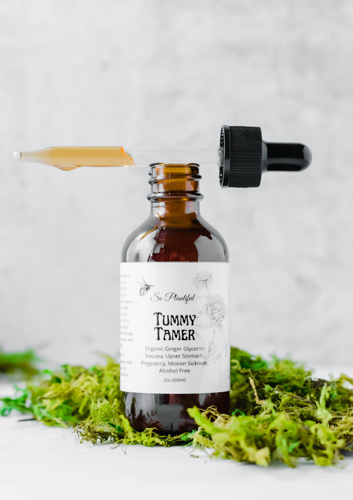 Tummy Tamer - Organic Ginger Glycerite Nausea, Upset Stomach, Pregnancy, Motion Sickness, Alcohol Free