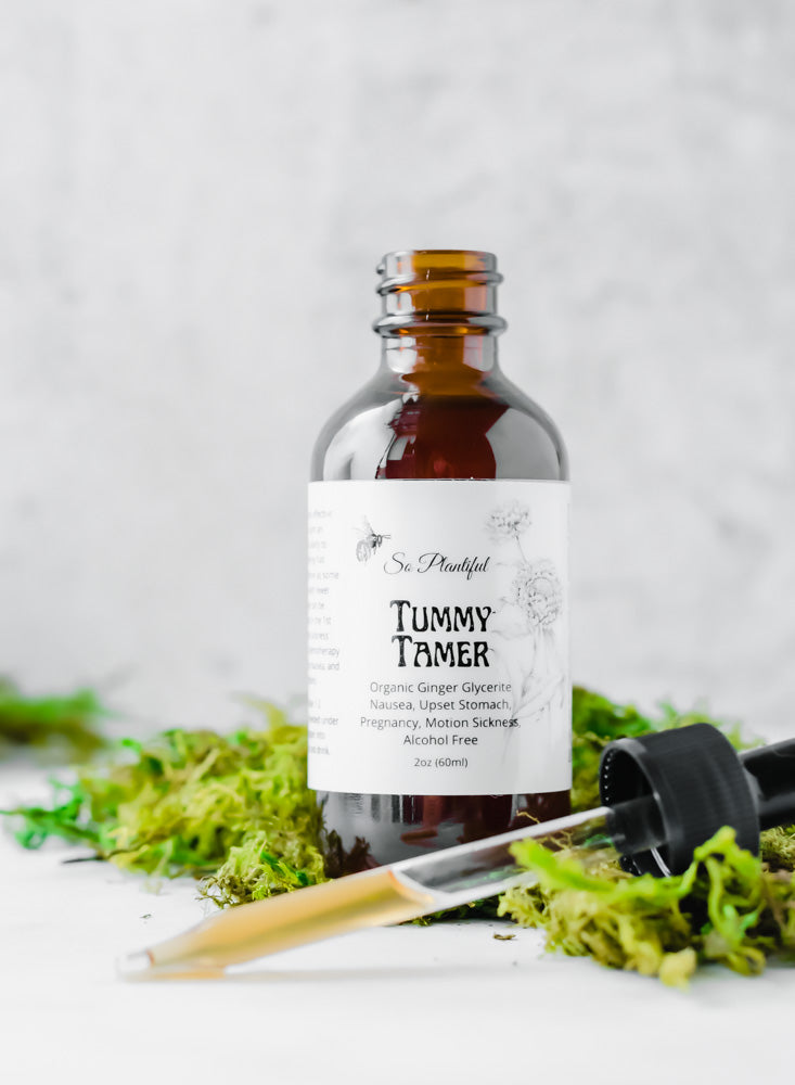 Tummy Tamer - Organic Ginger Glycerite Nausea, Upset Stomach, Pregnancy, Motion Sickness, Alcohol Free