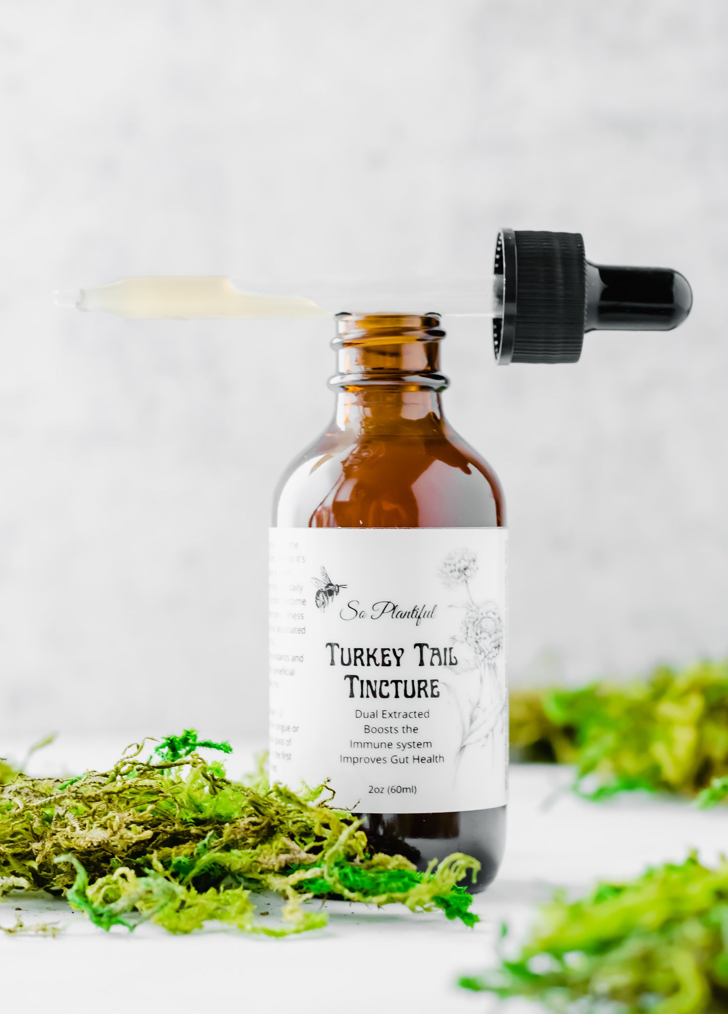 Turkey Tail Mushroom - Immune Boost, Gut Health, Cold and Flu