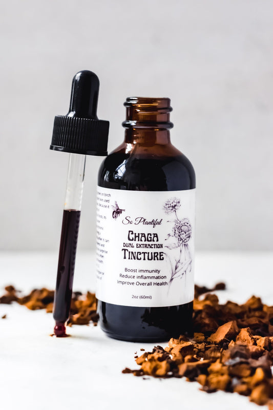 Chaga Dual Extraction Tincture