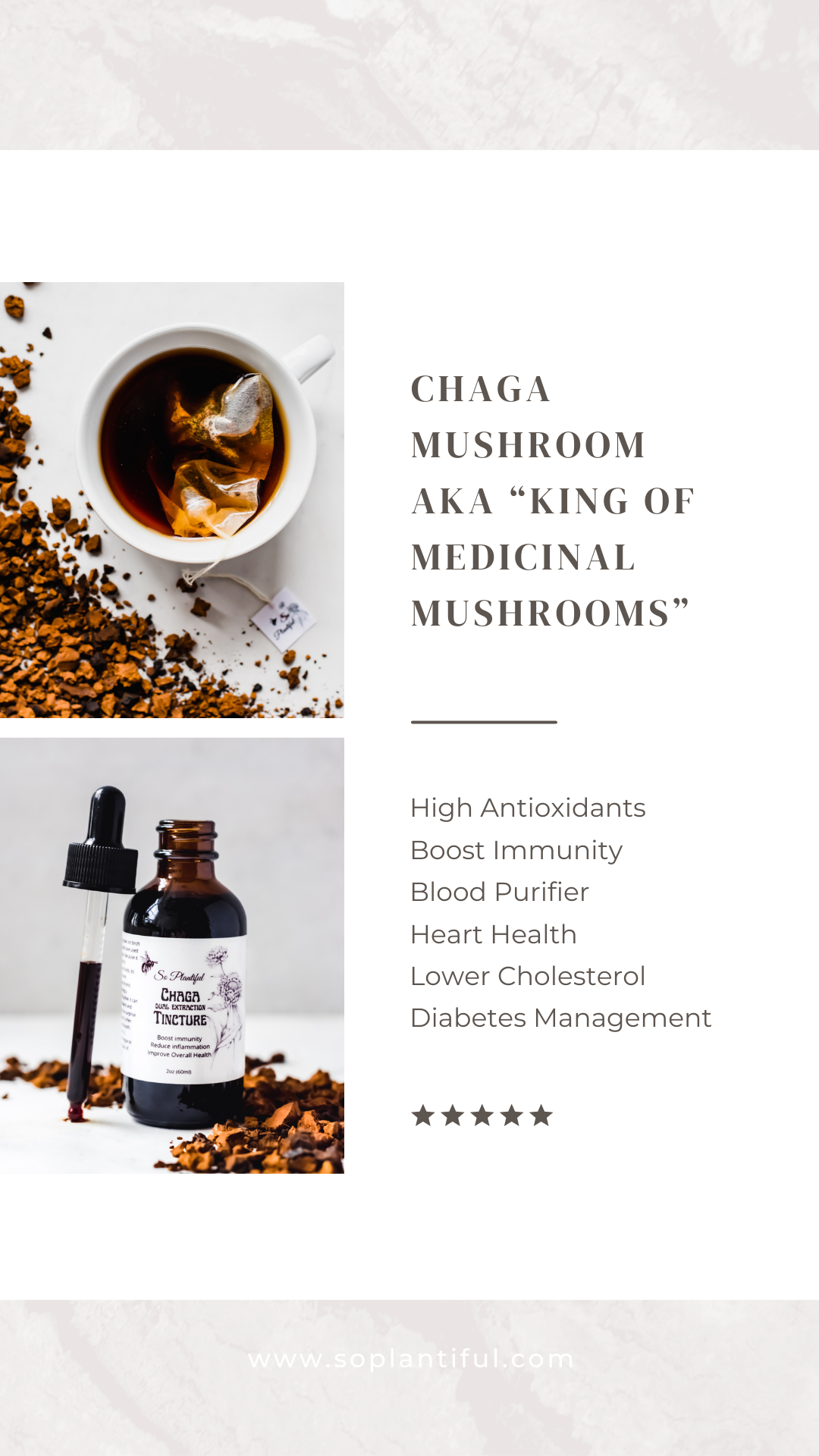 Chaga Tincture - Immunity, Inflammation, Blood Purifier, Lower Blood Pressure/Cholesterol/Sugar