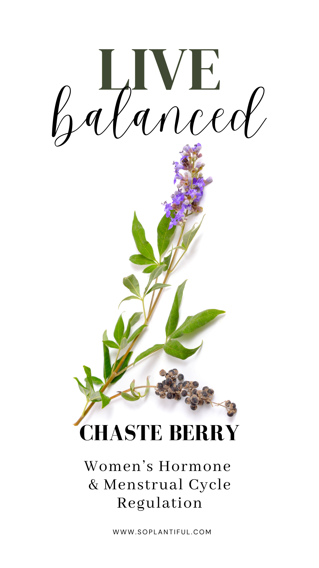 Chaste Berry Tincture