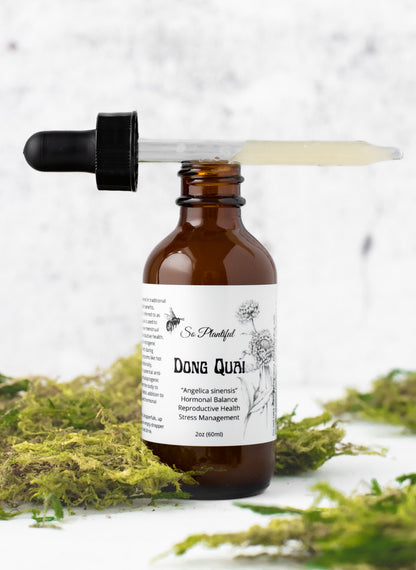 Dong Quai Tincture