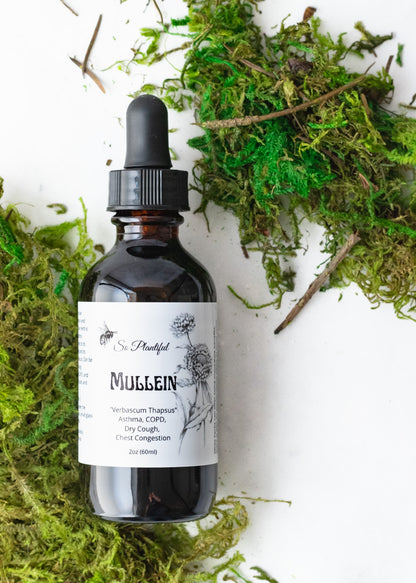 Mullein Leaf Tincture