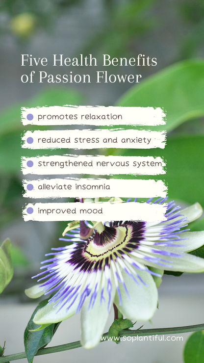 Passion Flower Loose Leaf Tea