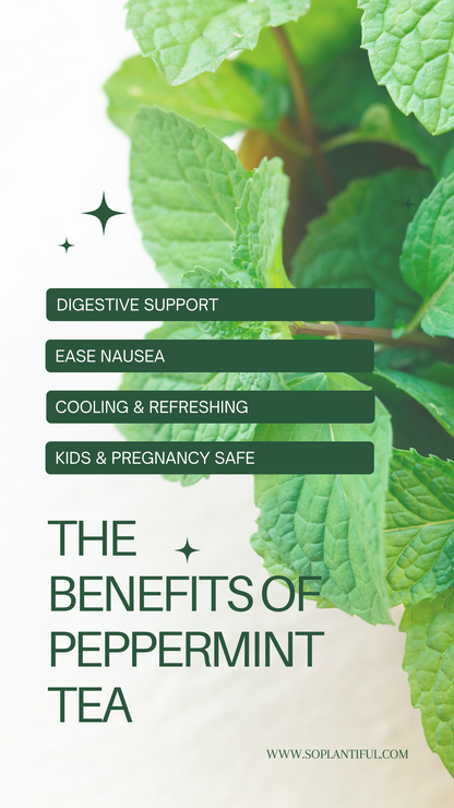 Peppermint Herb Tea