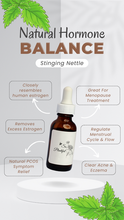 Stinging Nettle - Detox, Hormone Balance, Menstrual Cycle, Skin Health, Nutritive Tonic