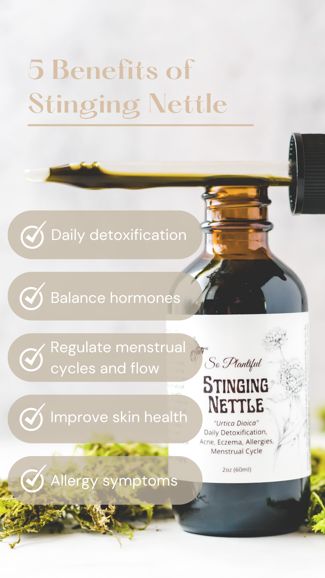 Stinging Nettle - Detox, Hormone Balance, Menstrual Cycle, Skin Health, Nutritive Tonic