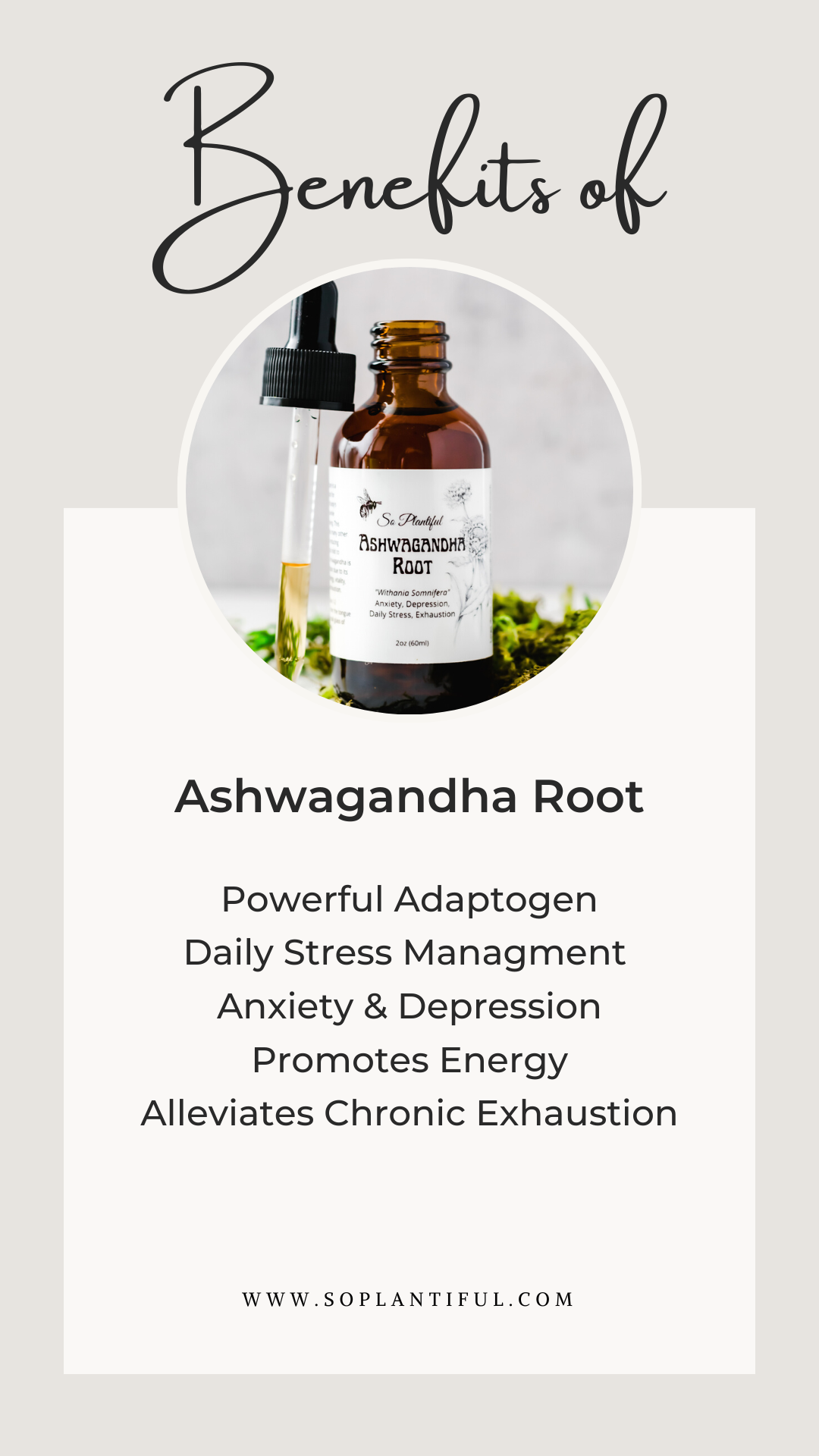 Ashwagandha Root - Anxiety, Depression, Energy, Stress, Exhaustion