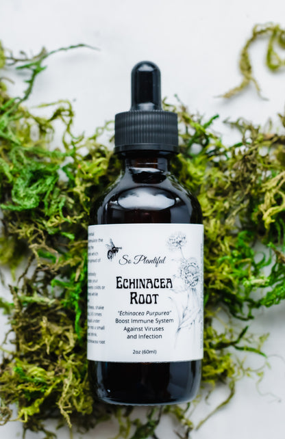 Echinacea Root Tincture