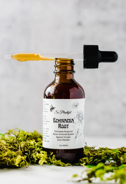 Echinacea Root Tincture