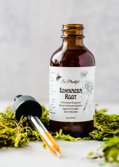 Echinacea Root Tincture