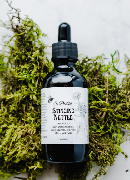 Stinging Nettle - Detox, Hormone Balance, Menstrual Cycle, Skin Health, Nutritive Tonic