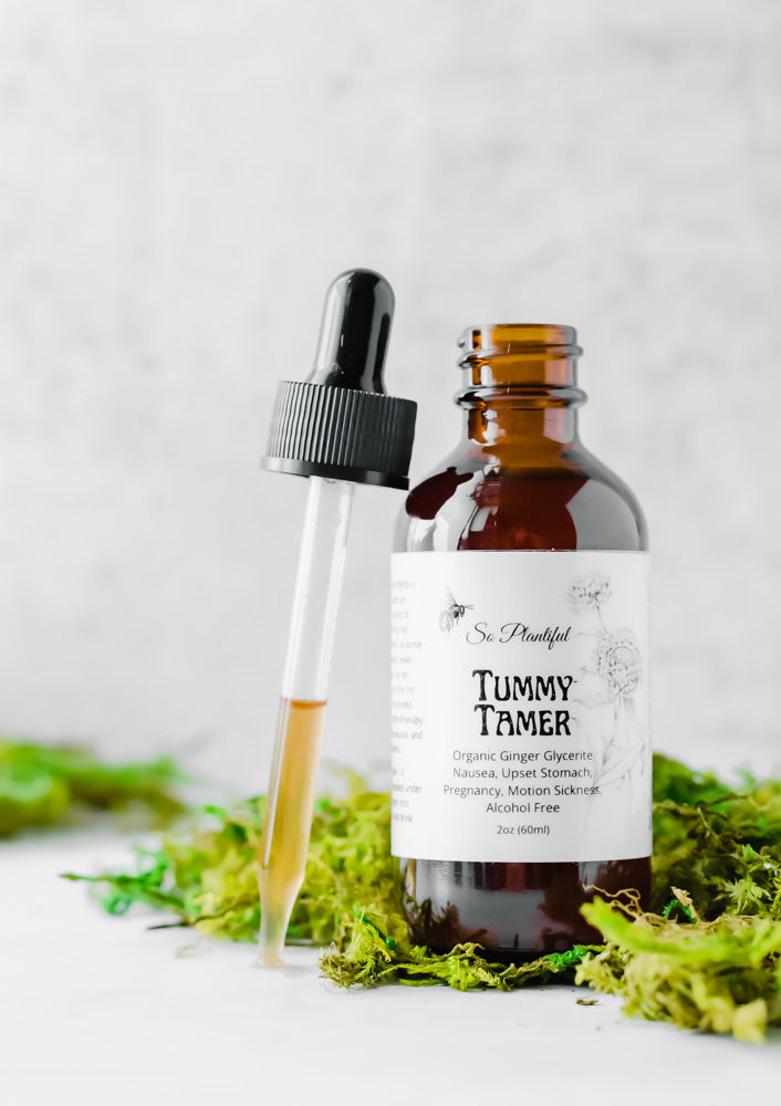 Tummy Tamer - Organic Ginger Glycerite Nausea, Upset Stomach, Pregnancy, Motion Sickness, Alcohol Free