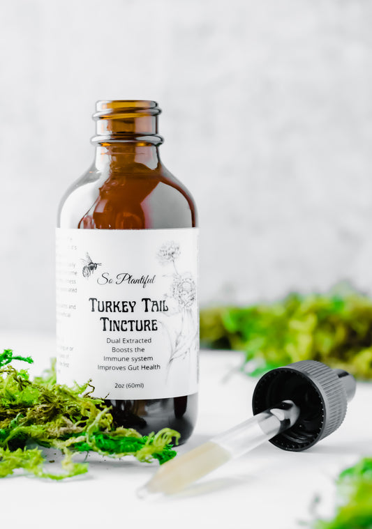 Turkey Tail Mushroom - Immune Boost, Gut Health, Cold and Flu