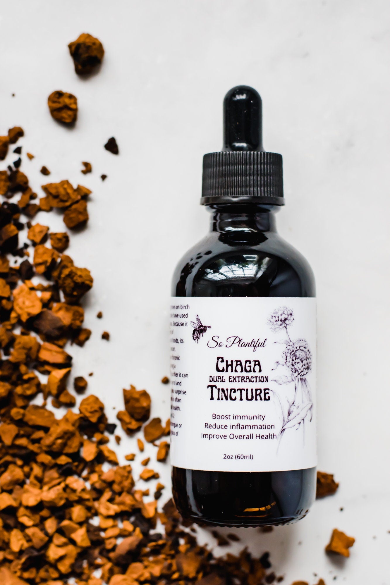 Chaga Dual Extraction Tincture